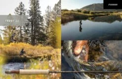 Sage Trout LL Half Welsh 4pc Fly Rod -Visserijmeesterwinkel 334f4d05 4d2d 442a 93c0 72f82ab12a54