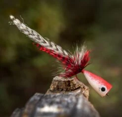 Ahrex PR354 Popping Skipping Bug -Visserijmeesterwinkel Ahrex PR354 Popping Skipping Bug APR354 XX 354 1 1