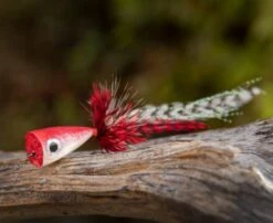 Ahrex PR354 Popping Skipping Bug -Visserijmeesterwinkel Ahrex PR354 Popping Skipping Bug APR354 XX 354 1 2