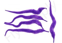 Cascade Micro Dragon Tails 5pc 27 Cascade Micro Dragon Tails 5pc -Visserijmeesterwinkel Cascade Micro Dragon Tails 5pc CASC MIDT X dsc09725 bewerkt