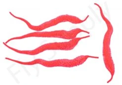 Cascade Micro Dragon Tails 5pc 22 Cascade Micro Dragon Tails 5pc -Visserijmeesterwinkel Cascade Micro Dragon Tails 5pc CASC MIDT X dsc09727 bewerkt