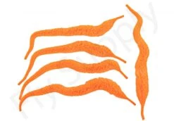 Cascade Micro Dragon Tails 5pc 24 Cascade Micro Dragon Tails 5pc -Visserijmeesterwinkel Cascade Micro Dragon Tails 5pc CASC MIDT X dsc09732 bewerkt