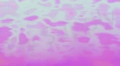 Chameleon Sheeting -Visserijmeesterwinkel Chameleon Sheeting 24 50XXX dsc06740 wm