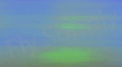 Chameleon Sheeting -Visserijmeesterwinkel Chameleon Sheeting 24 50XXX dsc06782 wm