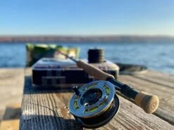 Cortland Competition Fo-tech Sink Type 3 Fly Line -Visserijmeesterwinkel Cortland Competition Fo tech Sink Type 3 Fly Line D340102 XX img 5715 e5dd90c2 c049 4605 b1aa 3b5dd80b41ea 1200x