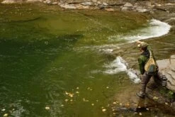 Cortland Euro Nymph Line Braid Core Fly Line -Visserijmeesterwinkel Cortland Euro Nymph Line Braid Core D3400137 XX euronymph 960x