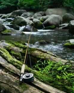 Cortland Finesse Trout II Floating Fly Line -Visserijmeesterwinkel Cortland Finesse Trout II Fly Line D340012 XX finesset 1200x