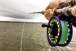 Cortland Liquid Crystal Guide Tropic Salt Floating Fly Line -Visserijmeesterwinkel Cortland Liquid Crystal Guide Tropic Salt Fly Line D340030 XX guidetaper3 959x