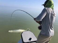 Cortland Liquid Crystal Tarpon Taper Fly Line -Visserijmeesterwinkel Cortland Liquid Crystal Tarpon Taper Fly Line D34003 XX liquidcrystal 1200x