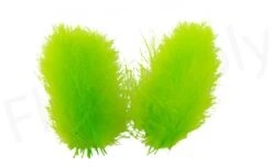 Cul De Canard (CDC) Large Super Select 50pc Feathers -Visserijmeesterwinkel Cul de Canard CDC Large Super Select 50pc Feathers CDS XXX fluo chartreuse
