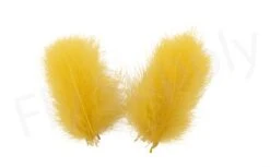 Cul De Canard (CDC) Large Super Select 50pc Feathers -Visserijmeesterwinkel Cul de Canard CDC Large Super Select 50pc Feathers CDS XXX wood duck