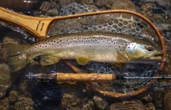 Douglas Sky G Fly Rod -Visserijmeesterwinkel Douglas Sky G Fly Rod DOUGLASSKYG XXX 1schermafbeelding 2023 01 11 om 11.53