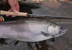 Douglas Sky G Fly Rod -Visserijmeesterwinkel Douglas Sky G Fly Rod DOUGLASSKYG XXX 4schermafbeelding 2023 01 11 om 11.54