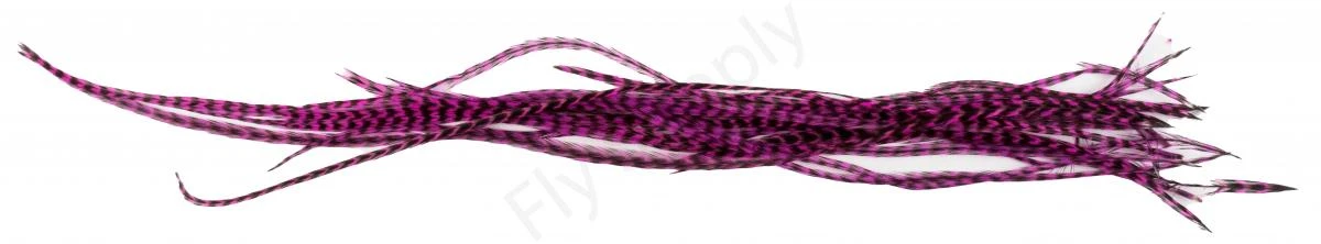 Whiting Dry Fly Saddle Feather Pack 18pc 17 Whiting Dry Fly Saddle Feather Pack 18pc - Afbeelding 17