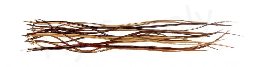 Whiting Dry Fly Saddle Feather Pack 18pc 3 Whiting Dry Fly Saddle Feather Pack 18pc - Afbeelding 3