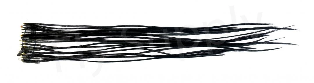 Whiting Dry Fly Saddle Feather Pack 18pc 6 Whiting Dry Fly Saddle Feather Pack 18pc - Afbeelding 6