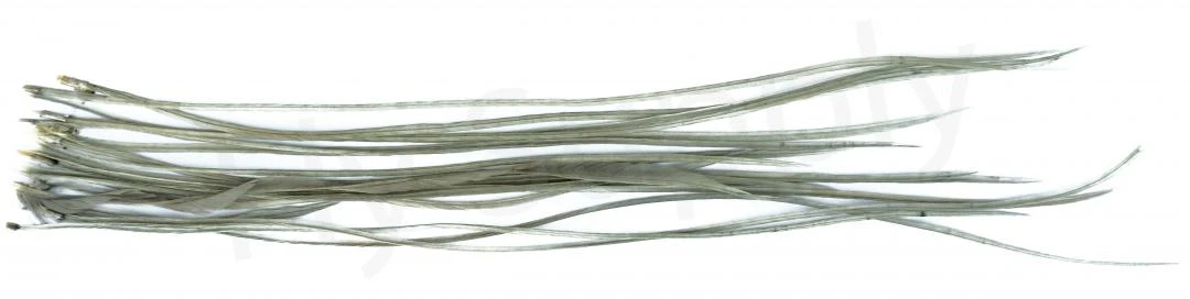 Whiting Dry Fly Saddle Feather Pack 18pc 8 Whiting Dry Fly Saddle Feather Pack 18pc - Afbeelding 8