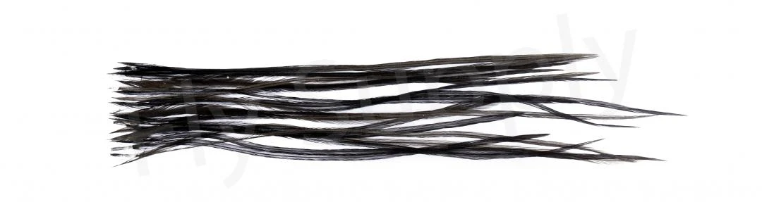 Whiting Dry Fly Saddle Feather Pack 18pc 10 Whiting Dry Fly Saddle Feather Pack 18pc - Afbeelding 10