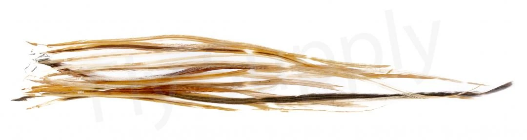 Whiting Dry Fly Saddle Feather Pack 18pc 11 Whiting Dry Fly Saddle Feather Pack 18pc - Afbeelding 11