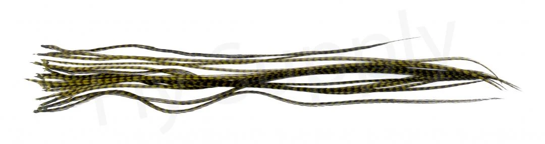 Whiting Dry Fly Saddle Feather Pack 18pc 18 Whiting Dry Fly Saddle Feather Pack 18pc - Afbeelding 18