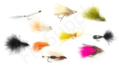 Euro Flies Access Allround Trout & Perch Complete Set #6 - 9ft -Visserijmeesterwinkel Euro Flies Access Allround Trout Perch Complete Set 6 9ft EF ACCSET 6 9ft dsc06392