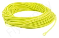 Euro Flies Allround WF Floating Fly Line -Visserijmeesterwinkel Euro Flies Allround WF Floating Fly Line EF ALLROUNDWF XXX dsc06551