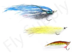 Euro Flies Predator Complete Set #10 - 9ft -Visserijmeesterwinkel Euro Flies Predator Complete Set 10 9ft EF PRESET 10 90ft vis 1 2