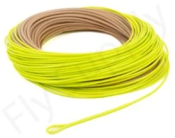 Euro Flies Tropical Power Taper Floating WF Fly Line -Visserijmeesterwinkel Euro Flies Tropical Power Taper Floating WF Fly Line EF TROPPOWTAP XXX dsc06604 2