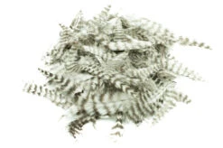 Grizzly Marabou -Visserijmeesterwinkel FS 651