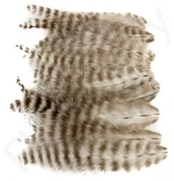 Grizzly Super Select Soft Hackle 20pc