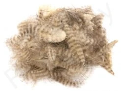 Grizzly Marabou -Visserijmeesterwinkel Grizzly marabou 40 62XXX dsc01709