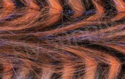 H2O Polar Fibre Streamer Brush 3inch -Visserijmeesterwinkel H2O Polar Fibre Streamer Brush 3inch DBPFXX 3 dsc05754 wm