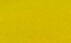 H2O Slinky Fibre -Visserijmeesterwinkel H2O Slinky Fibre SF XX dsc05664