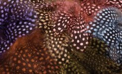 Hareline Guinea Strung Feathers