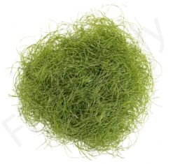 Hareline Senyo's Shaggy Dub -Visserijmeesterwinkel Hareline Senyos Shaggy Dub SHAGDUB XXX dsc03070 bewerkt