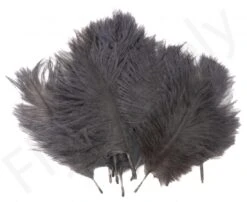 Hareline Spey Plumes Premium Ostrich -Visserijmeesterwinkel Hareline Spey Plumes Premium Ostrich HARELINE SP XXX dsc05500