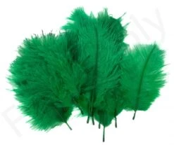 Hareline Spey Plumes Premium Ostrich -Visserijmeesterwinkel Hareline Spey Plumes Premium Ostrich HARELINE SP XXX dsc05502