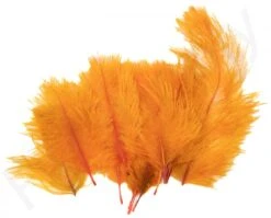 Hareline Spey Plumes Premium Ostrich -Visserijmeesterwinkel Hareline Spey Plumes Premium Ostrich HARELINE SP XXX dsc05504