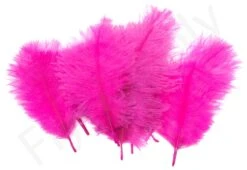 Hareline Spey Plumes Premium Ostrich -Visserijmeesterwinkel Hareline Spey Plumes Premium Ostrich HARELINE SP XXX dsc05511