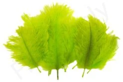 Hareline Spey Plumes Premium Ostrich -Visserijmeesterwinkel Hareline Spey Plumes Premium Ostrich HARELINE SP XXX dsc05516