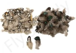 Lady Amherst Pheasant Body Feathers 3gr