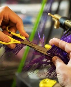 Loon Ergo Prime Scissors -Visserijmeesterwinkel Loon Ergo Prime Scissors PRIMESCIS XXX dealerweb cms 6f5a31c1 b6ef 44bb ba2c a5e00b9336f7