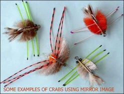 H2O Mirror Image 5 Color Mix Pack -Visserijmeesterwinkel Mirrow20Image1