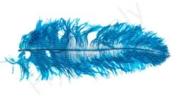 Ostrich Plumes Barred Large -Visserijmeesterwinkel Ostrich Plumes Barred Large FSTYING PLBLG X dsc08803