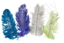 Ostrich Plumes Barred Large