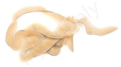 Premium Micro Mink Zonkers 1mm -Visserijmeesterwinkel Premium Micro Mink Zonkers 1mm MICROMINKZONKERS XXX dsc05830