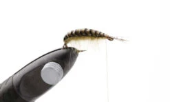 Pro Sportfisher Gammarus Black Backs -Visserijmeesterwinkel Pro Sportfisher Gammarus Black Backs PROGAMBACK XXX gammarus sbs 3 1