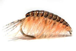 Pro Sportfisher Gammarus Black Backs -Visserijmeesterwinkel Pro Sportfisher Gammarus Black Backs PROGAMBACK XXX pro sportfisher gammarusgoedblack backs progamback xxx gammarus by lucian 1