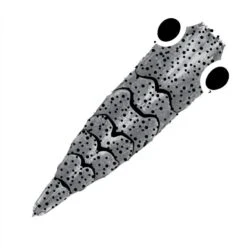 Pro Sportfisher Shrimp Shell G2 -Visserijmeesterwinkel Pro Sportfisher Shrimp Shell G2 PROSHRSHELLG2 XXX gen 2 grey large