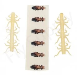 Realistic Legs & Wings 6pc